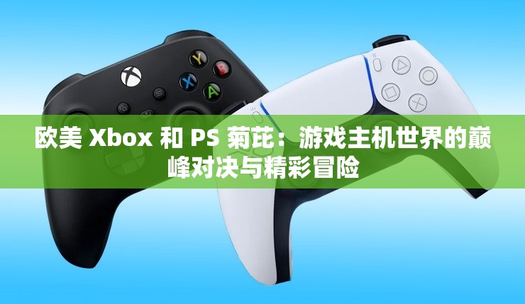 欧美 Xbox 和 PS 菊芘：游戏主机世界的巅峰对决与精彩冒险