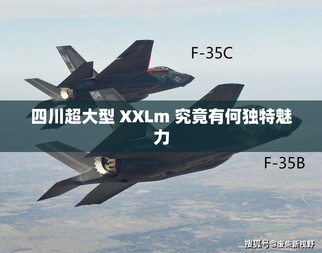 四川超大型 XXLm 究竟有何独特魅力