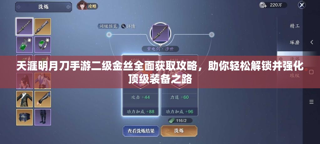 天涯明月刀手游二级金丝全面获取攻略，助你轻松解锁并强化顶级装备之路