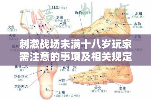 刺激战场未满十八岁玩家需注意的事项及相关规定