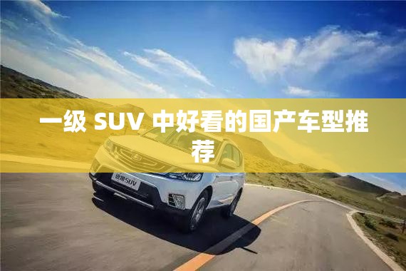 一级 SUV 中好看的国产车型推荐