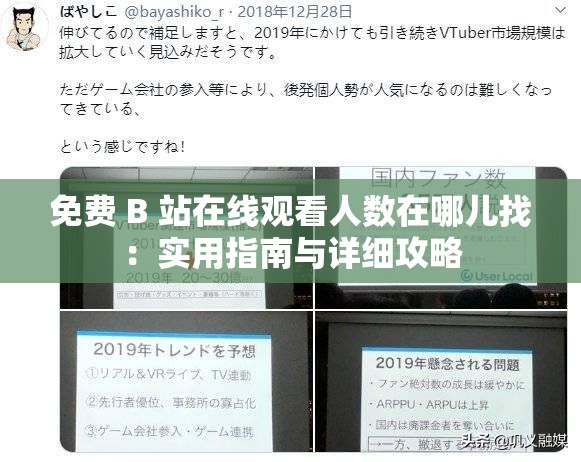 免费 B 站在线观看人数在哪儿找：实用指南与详细攻略