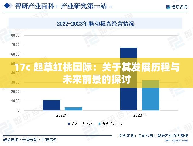 17c 起草红桃国际：关于其发展历程与未来前景的探讨