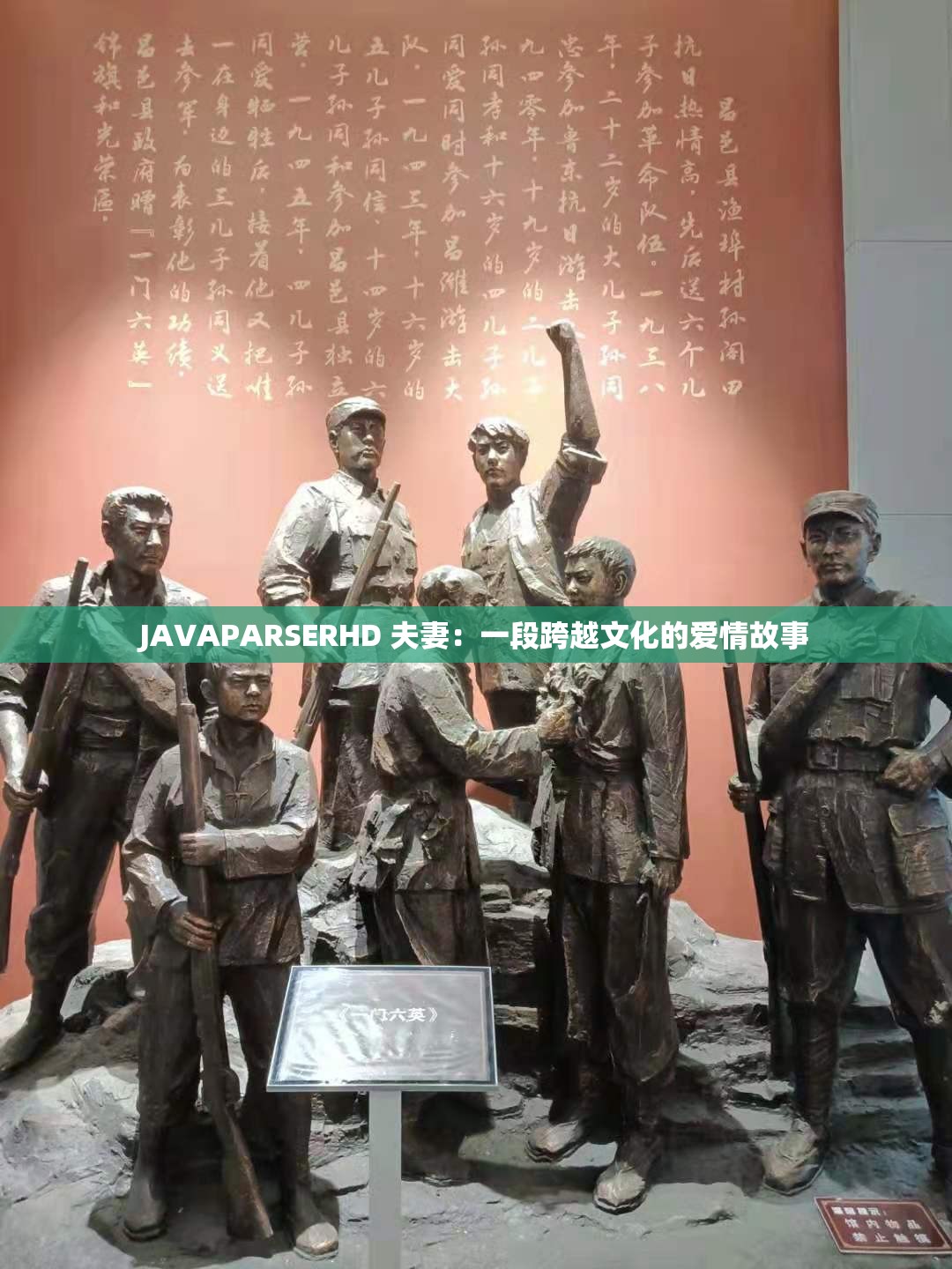 JAVAPARSERHD 夫妻：一段跨越文化的爱情故事