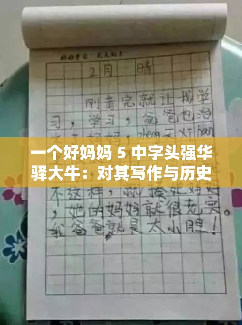 一个好妈妈 5 中字头强华驿大牛：对其写作与历史背景的深入探究