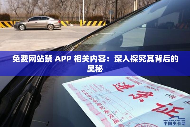 免费网站禁 APP 相关内容：深入探究其背后的奥秘