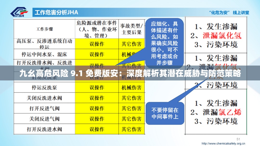 九幺高危风险 9.1 免费版安：深度解析其潜在威胁与防范策略