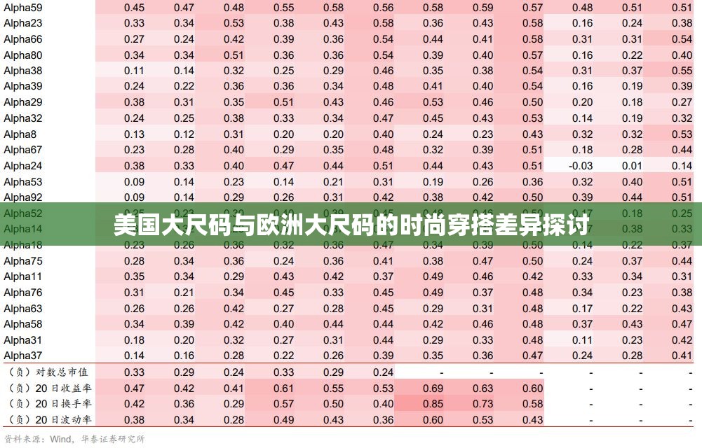 美国大尺码与欧洲大尺码的时尚穿搭差异探讨