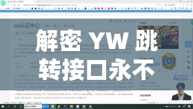 解密 YW 跳转接口永不失联的来源：探寻背后的神秘机制