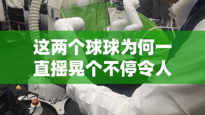 这两个球球为何一直摇晃个不停令人费解