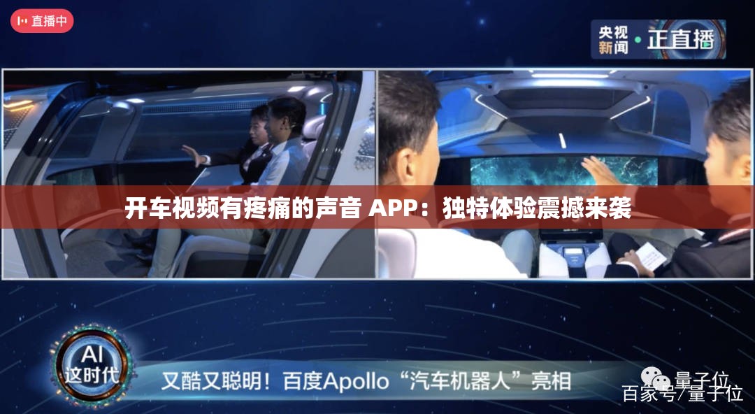开车视频有疼痛的声音 APP：独特体验震撼来袭
