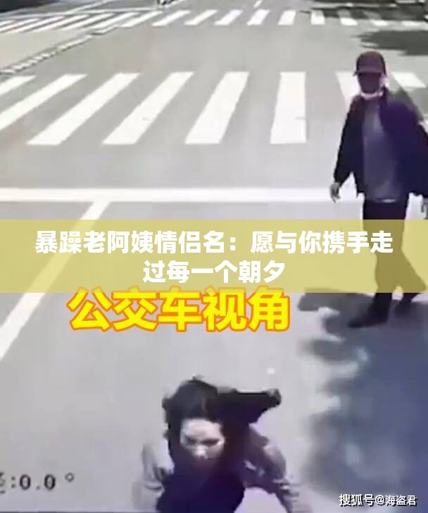 暴躁老阿姨情侣名：愿与你携手走过每一个朝夕