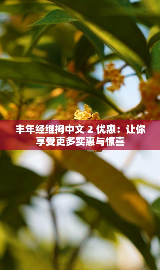 丰年经继拇中文 2 优惠：让你享受更多实惠与惊喜