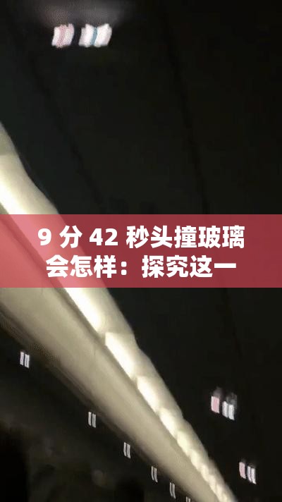 9 分 42 秒头撞玻璃会怎样：探究这一极端行为的后果