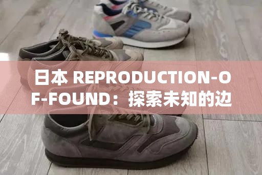 日本 REPRODUCTION-OF-FOUND：探索未知的边界