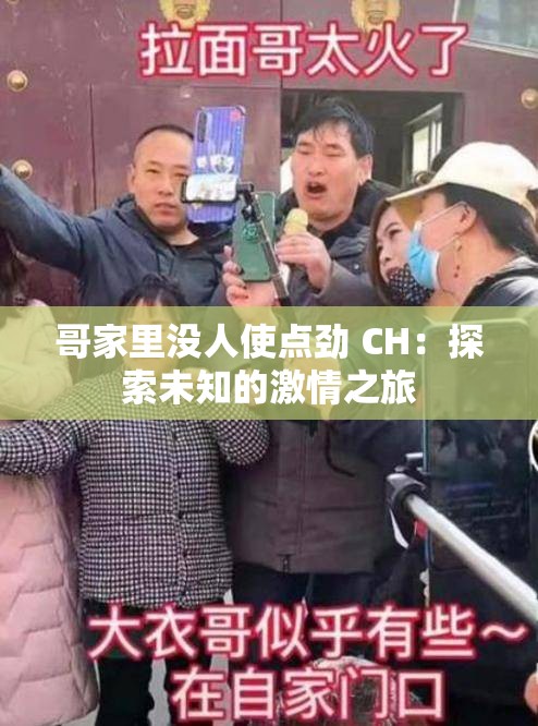 哥家里没人使点劲 CH：探索未知的激情之旅