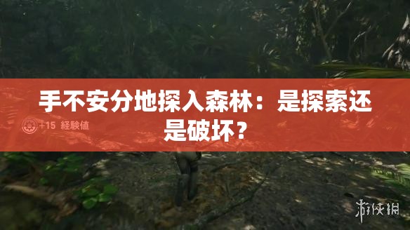 手不安分地探入森林：是探索还是破坏？