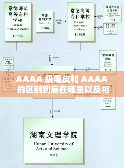 AAAA 级毛皮和 AAAA 的区别到底在哪里以及相关详细分析