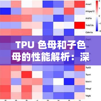 TPU 色母和子色母的性能解析：深入探究其特性与应用