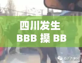 四川发生 BBB 搡 BBB 搡多人混乱事件