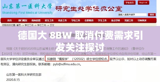 德国大 8BW 取消付费需求引发关注探讨