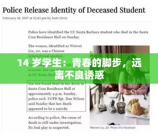 14 岁学生：青春的脚步，远离不良诱惑