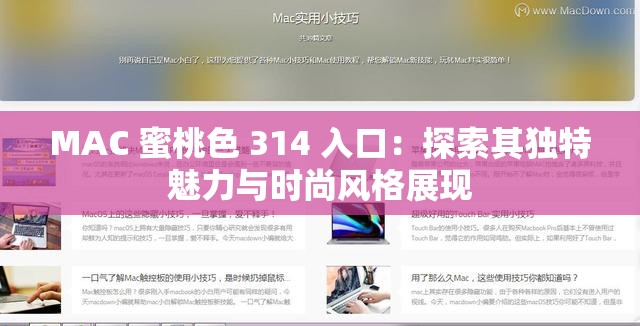 MAC 蜜桃色 314 入口：探索其独特魅力与时尚风格展现