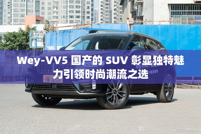 Wey-VV5 国产的 SUV 彰显独特魅力引领时尚潮流之选