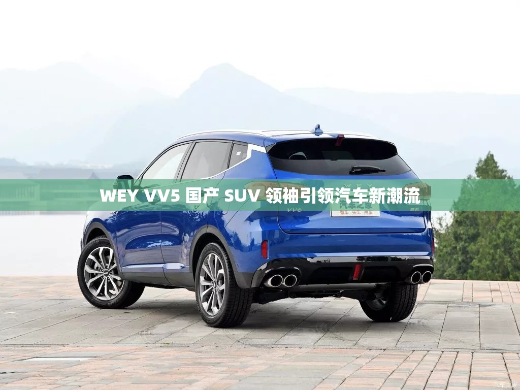 WEY VV5 国产 SUV 领袖引领汽车新潮流