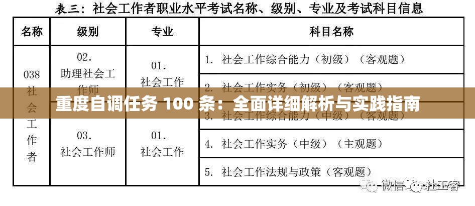 重度自调任务 100 条：全面详细解析与实践指南