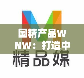 国精产品WNW：打造中国原创精品的领军品牌