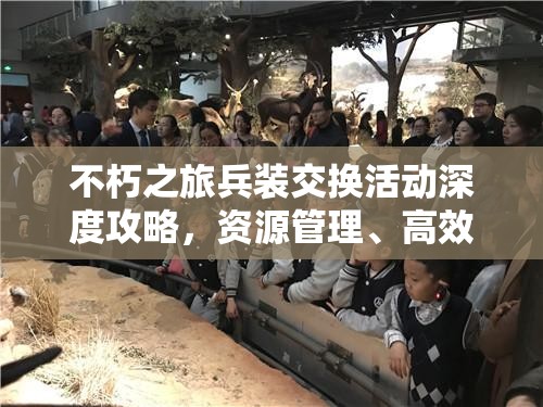 不朽之旅兵装交换活动深度攻略，资源管理、高效利用策略以最大化活动价值