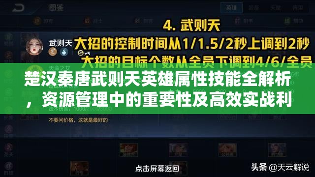 楚汉秦唐武则天英雄属性技能全解析，资源管理中的重要性及高效实战利用策略