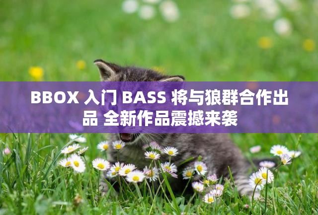 BBOX 入门 BASS 将与狼群合作出品 全新作品震撼来袭