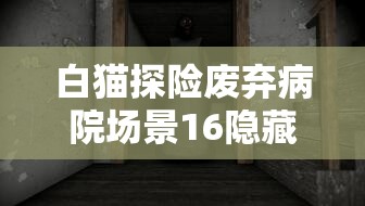 白猫探险废弃病院场景16隐藏房间通关秘籍，资源管理的重要性与高效策略解析