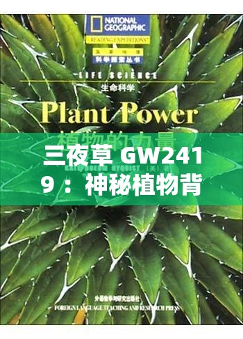 三夜草 GW2419 ：神秘植物背后的未知奥秘与探索之旅