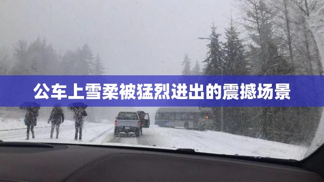 公车上雪柔被猛烈进出的震撼场景