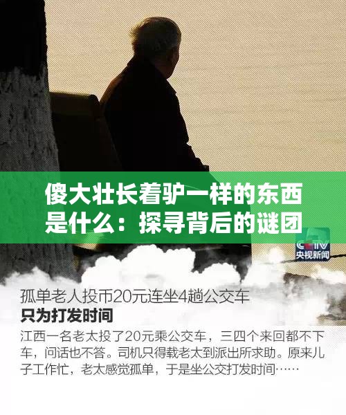 傻大壮长着驴一样的东西是什么：探寻背后的谜团与真相