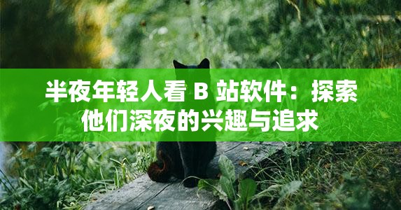 半夜年轻人看 B 站软件：探索他们深夜的兴趣与追求