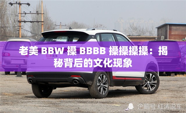 老美 BBW 搡 BBBB 搡搡搡搡：揭秘背后的文化现象