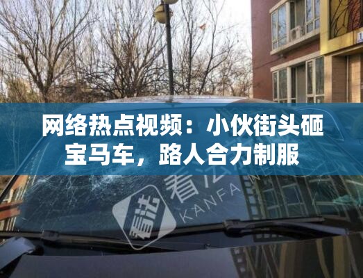 网络热点视频：小伙街头砸宝马车，路人合力制服