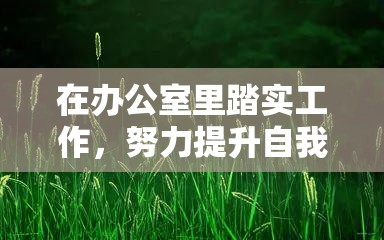 在办公室里踏实工作，努力提升自我