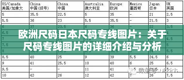 欧洲尺码日本尺码专线图片：关于尺码专线图片的详细介绍与分析