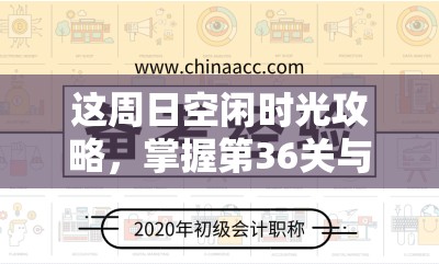 这周日空闲时光攻略，掌握第36关与4-6关通关技巧，揭秘资源管理艺术