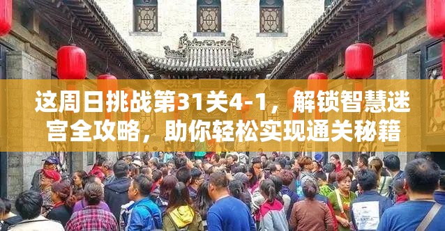 这周日挑战第31关4-1，解锁智慧迷宫全攻略，助你轻松实现通关秘籍