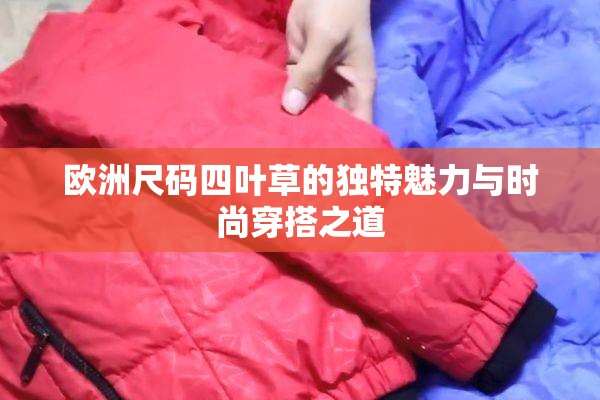 欧洲尺码四叶草的独特魅力与时尚穿搭之道