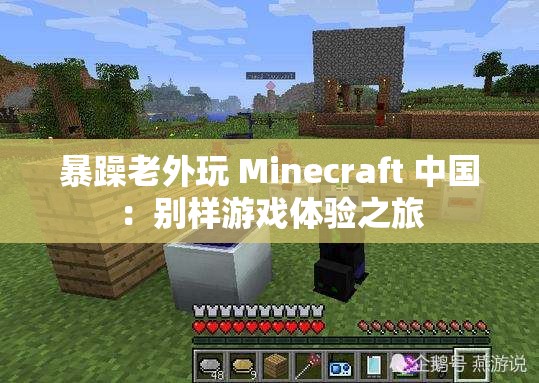 暴躁老外玩 Minecraft 中国：别样游戏体验之旅