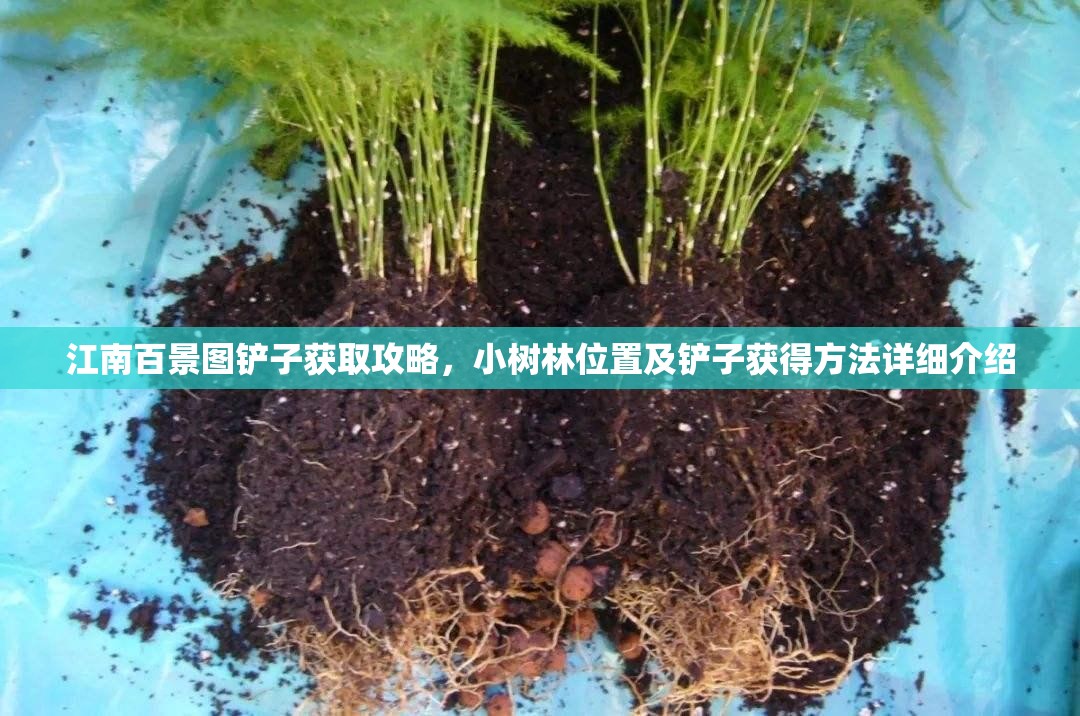 江南百景图铲子获取攻略，小树林位置及铲子获得方法详细介绍