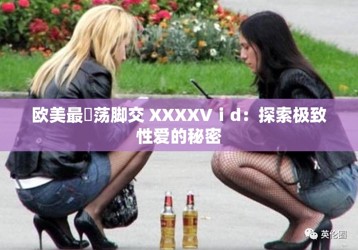 欧美最婬荡脚交 XXXXVⅰd：探索极致性爱的秘密