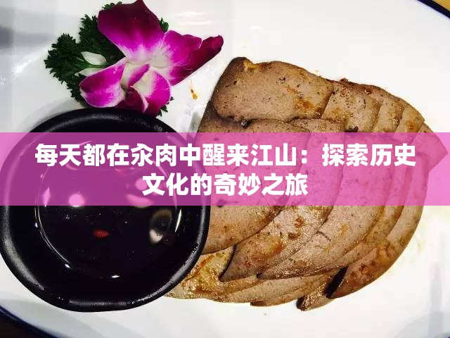 每天都在汆肉中醒来江山：探索历史文化的奇妙之旅